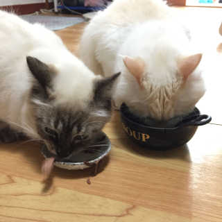 JungheeKim님이 올린 리뷰 사진 2