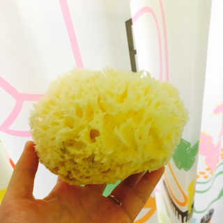 YulimShin님이 올린 리뷰 사진 1