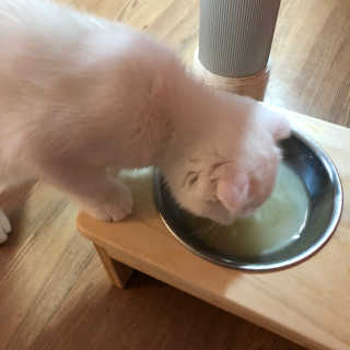 kittyiris님이 올린 리뷰 사진 3