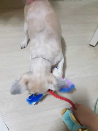 도도동님이 올린 리뷰 사진 3
