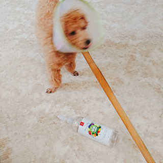 아보카도올리브님이 올린 리뷰 사진 1