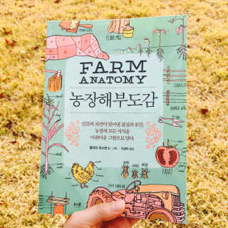 김나연님이 올린 리뷰 사진 2
