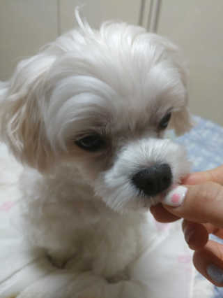 김진희님이 올린 리뷰 사진 2