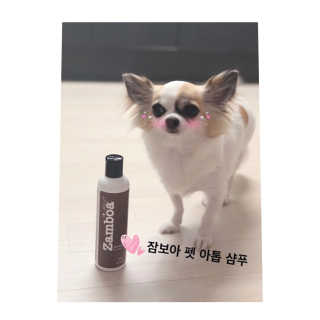 은쓸님이 올린 리뷰 사진 1