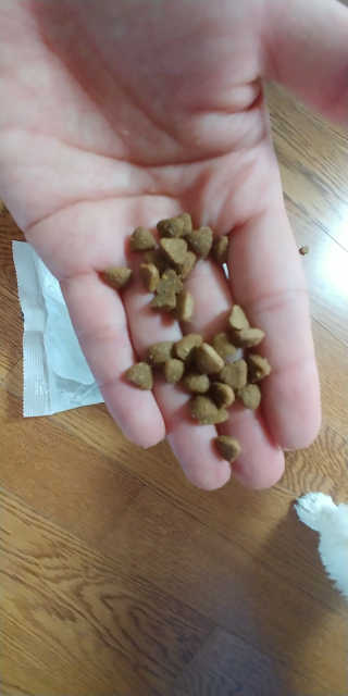 피오나H님이 올린 리뷰 사진 2