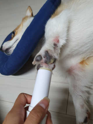 혜무룩님이 올린 리뷰 사진 1