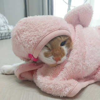 오나오나님이 올린 리뷰 사진 4