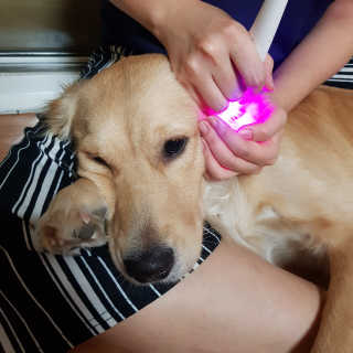 융님이 올린 리뷰 사진 1