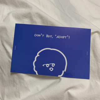 디오닝님이 올린 리뷰 사진 1