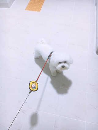 sooing님이 올린 리뷰 사진 1