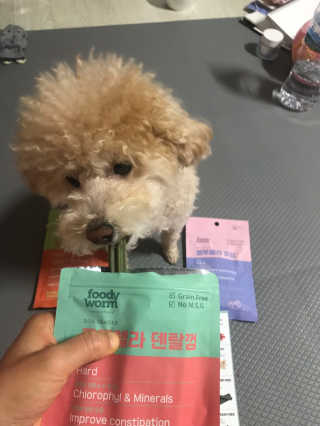 푸디웜 주식회사 [푸디웜] 강아지 저알러지 수제간식 3종세트 — 5점을 준 리뷰어가 2018년 12월 올린 사용 사진