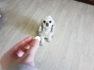 SohyeonLee님이 올린 리뷰 사진 3