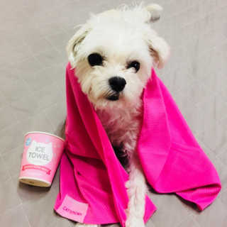 당근님이 올린 리뷰 사진 1