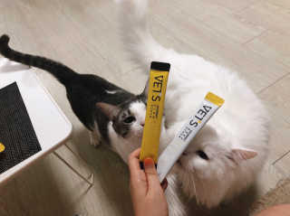 베츠 고메스톡 2종 강아지츄르 사료, 물 전용토핑육수 — 5점을 준 리뷰어가 2019년 7월 올린 사용 사진