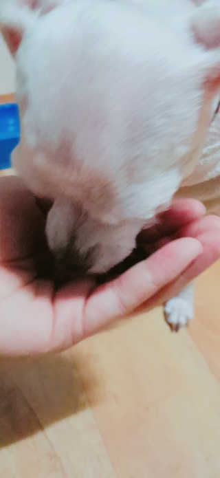 박수인님이 올린 리뷰 사진 2
