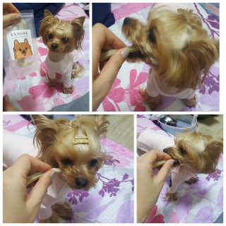 슈마님이 올린 리뷰 사진 1