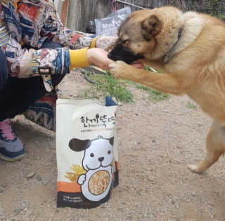 쫑이님이 올린 리뷰 사진 4