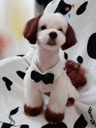 로롸님이 올린 리뷰 사진 1