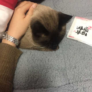 최혜정님이 올린 리뷰 사진 1