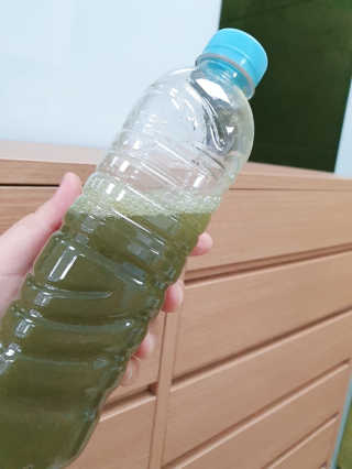 나맹이님이 올린 리뷰 사진 2
