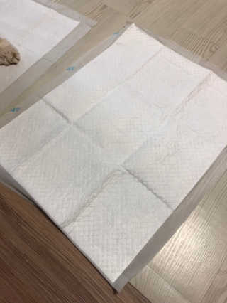 곰둥공주님님이 올린 리뷰 사진 2