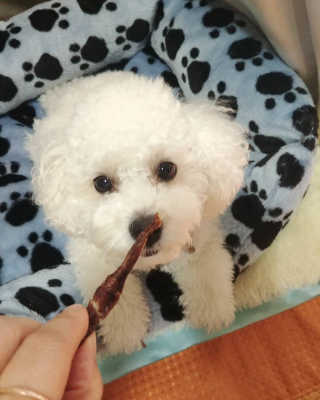 호두맘님이 올린 리뷰 사진 3