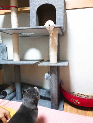 검이님이 올린 리뷰 사진 2