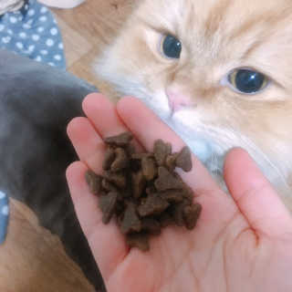 나르미르님이 올린 리뷰 사진 2