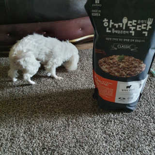 현짱님이 올린 리뷰 사진 1