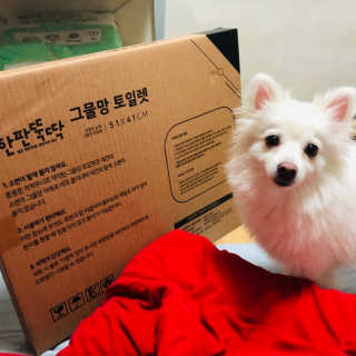 [펫토리아] 한판뚝딱 강아지 배변판 실속형,초대형 — 5점을 준 리뷰어가 2019년 6월 올린 사용 사진