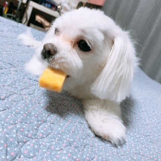 끼끼님이 올린 리뷰 사진 2