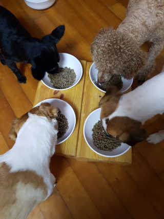 망고맘님이 올린 리뷰 사진 4