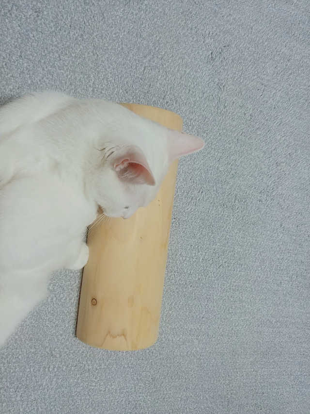 편백원목경침 리뷰 사진