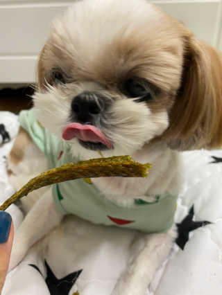 홍디님이 올린 리뷰 사진 4