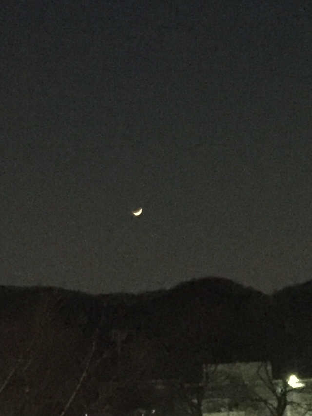 로즈카모마일 미스트 , 메이창유칼립투스 미스트 리뷰 사진