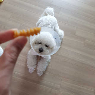 MinheeJo님이 올린 리뷰 사진 2