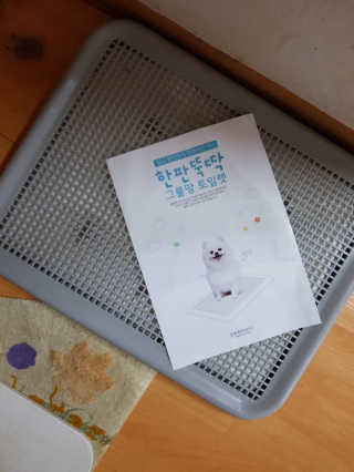 배엘세바님이 올린 리뷰 사진 1