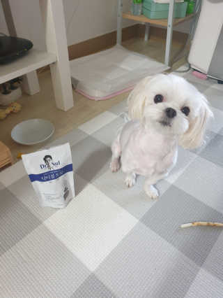 꼬물이님이 올린 리뷰 사진 3