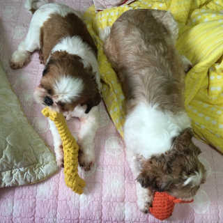 하늘찡님이 올린 리뷰 사진 3