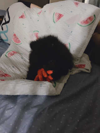 별톱님이 올린 리뷰 사진 4