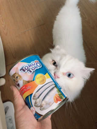 백여인님이 올린 리뷰 사진 2
