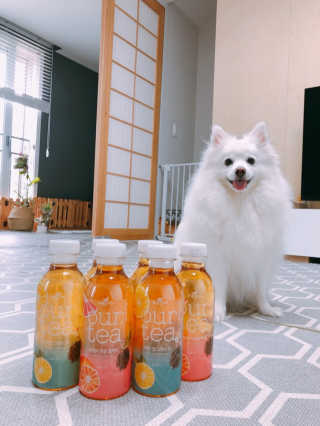 (주)쟈뎅 [쟈뎅] 아워티 500ml （총 6병） — 3점을 준 리뷰어가 2019년 7월 올린 사용 사진
