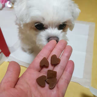 뽀오오옹님이 올린 리뷰 사진 4