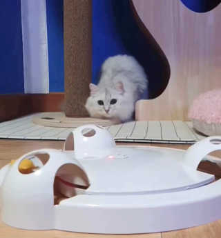 fively님이 올린 리뷰 사진 1