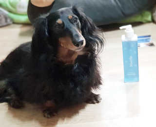 원말삼닥님이 올린 리뷰 사진 2