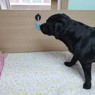 Lilly❤️님이 올린 리뷰 사진 3