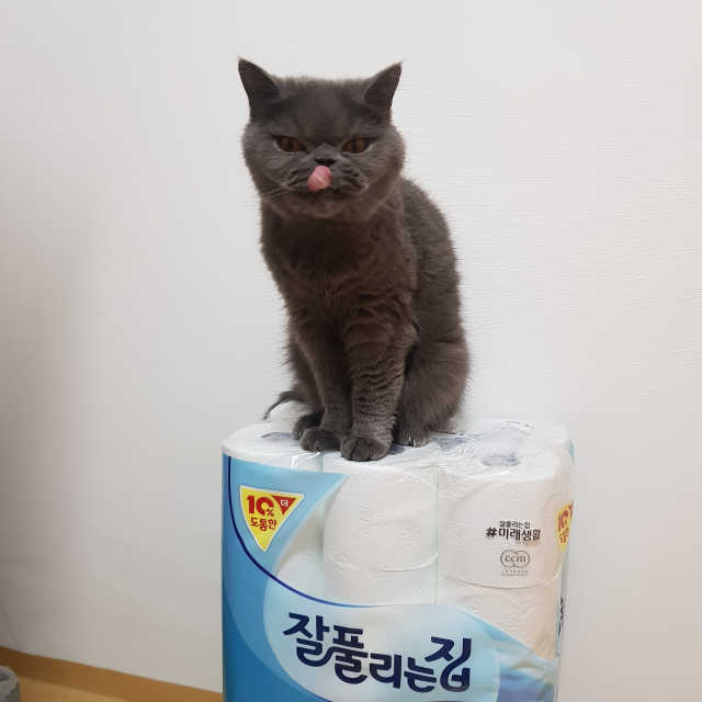 잘풀리는집 더 도톰한 3겹 데코 30롤 리뷰 사진