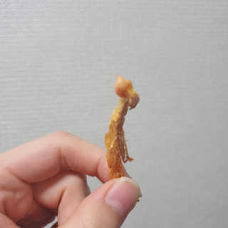 몽실몽실님이 올린 리뷰 사진 3