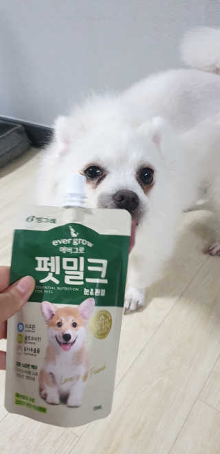 [빙그레] 에버그로 생유산균 1봉（10포입）+펫밀크2팩 — 5점을 준 리뷰어가 2019년 5월 올린 사용 사진