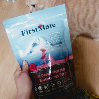 [펫토리아] 퍼스트메이트 고양이 사료 — 5점을 준 리뷰어가 2019년 3월 올린 사용 사진